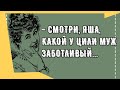 Сборник смешных анекдотов! Юмор дня! Приколы! Позитив!