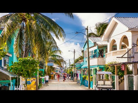 Miami 2 Belize Healing