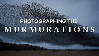 A new Photographic Technique with the Starling Murmurations