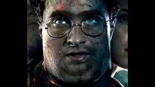 Fat Harry Potter Farts