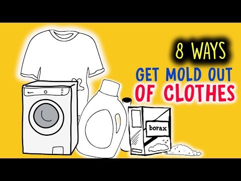 There Are 8 Easy Ways To Get Mold Out of Clothes