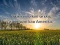 TOP 10 - ŽELJKO MARKOVIĆ