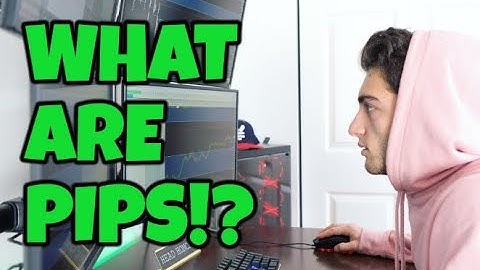 WHAT ARE PIPS AND PIPETTES?