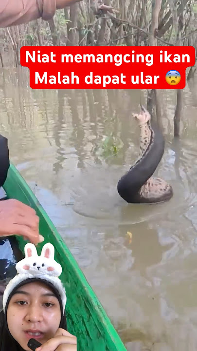 Looking for fish and instead getting a snake #fishing #fypシ゚viral #shorts #trending