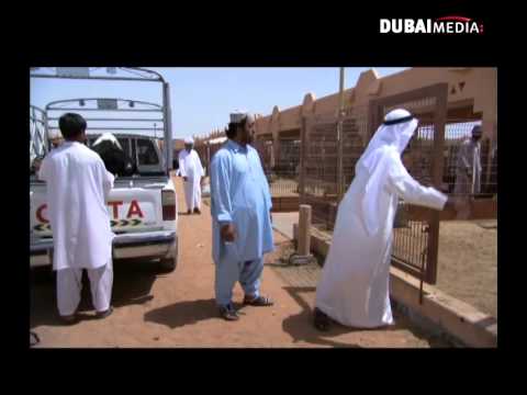 طماشة 2 الحلقة 2