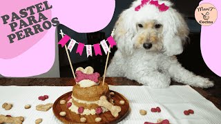 Pastel para Perritos, Cumple de Laika y lo Celebramos | Saludable y Fácil de Realizar | MariTCocina