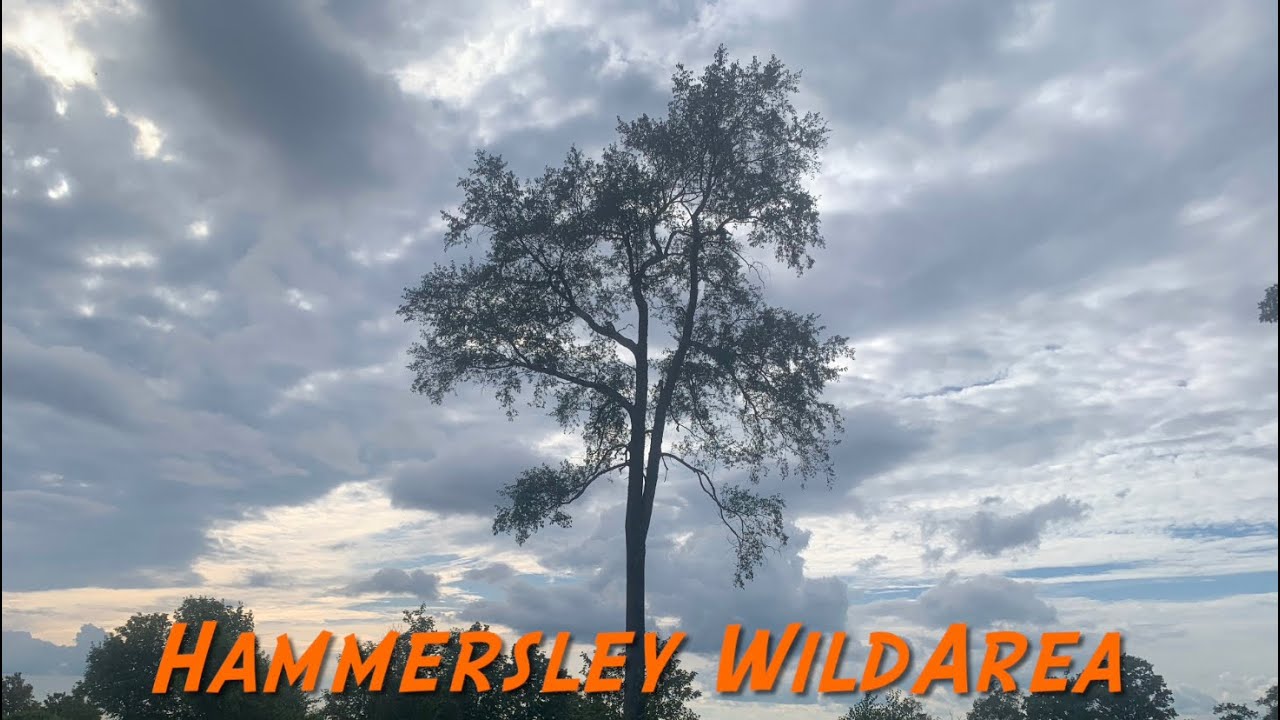 Hammersley Wild Area