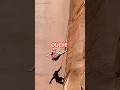CRAZY Climbing FAILS (This Is Why Elite Climbers Choose PULSAR Coffee)