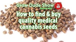How to find & buy quality medical cannabis seeds / hemp seeds - Episode #003 - Grow Dude Show