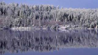 Karli Kayin Ormani .Wmv