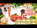 【知育童謡】やさいのうた おやさいたくさん!あいうえお順で歌ってみた。72種類メドレーさらに倍速再生!/トマト/きのこ/たまねぎ/しいたけ 【おかあさんといっしょ】