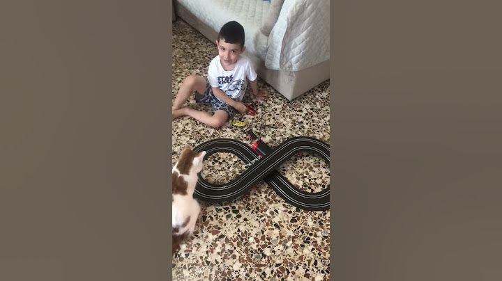 Pista di cars, Aaron Wolf gioca con il gatto Marvel