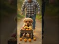 Cute Puppy Fruit Seller 🐶🍌 | सबसे प्यारा छोटा दुकानदार 😍 #CutePuppy #DogVideo #CuteDog #ViralVideo