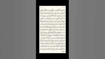 الورد اليومي: 4 صفحات (201-202-203-204) لتجنب هجر القرآن | تذكير يومي مستمر #قرآن #تلاوة