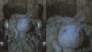 Dayland Instrumental With Backing Vocals