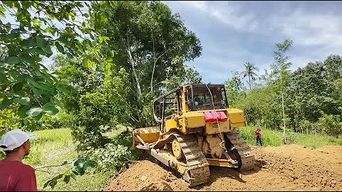 The Fastest Way to Open New Land Using Caterpillar D6R XL Bulldozer Machine