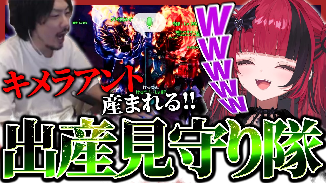面白過ぎるけっつんの出産見守りを見守るもしゅ【折咲もしゅ / けっつん / #ARK / REJECT / 切り抜き】
