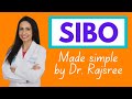 Sibo  a doctors guide to the root cause of bloating and ibs