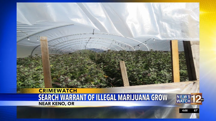 Police find two greenhouses, over 1,000 plants at illegal grow site in Keno