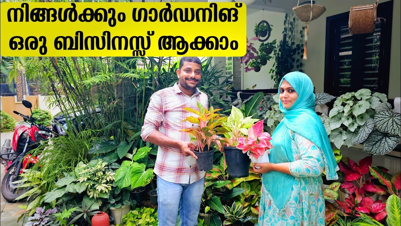 വളരെ കുറഞ്ഞ ചിലവിൽ നിങ്ങൾക്കും ഗാർഡനിങ് ഒരു വരുമാന മാർഗമാക്കാം | How to Start Gardening Business