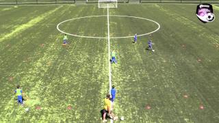 Newcastle Permanent Skill of the Week - Session 8: Running with the Ball