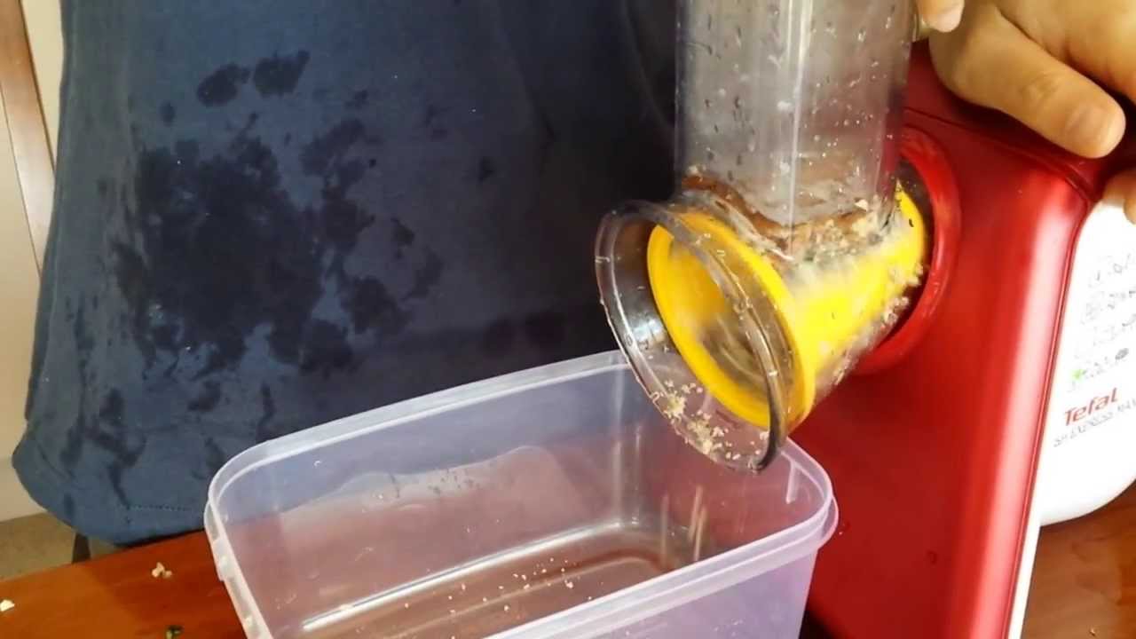 Moulinex / Tefal Fresh Express Max MB810 in action