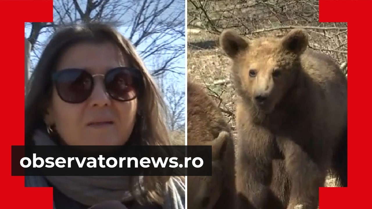 Reacţia unei turiste din Pakistan după ce a vizitat sanctuarul de urşi de la Zărnești