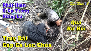 Bắt Cá Cặp Cá Lóc Khủng Trong Rừng Đầy Kịch Tính/Cá Nướng Trui Món Ngon Dễ Làm/Fishing NGÃ NĂM TV