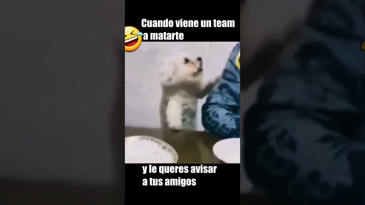 Enemigo entrando en el área☠️ #viralvideo #fypシ゚ #parati #warzonebestclips #shorts #folloow # #viral