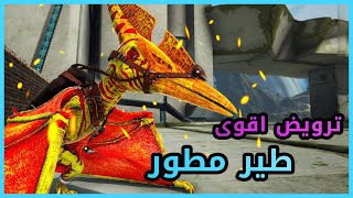 ارك اتيرنال : ترويض الالفا و سرقة قلوب الديناصورات - ARK Eternal