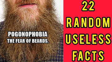 22 Interesting Facts You Didn