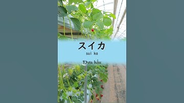 Tên các loại trái cây trong tiếng nhật ! Các bạn học thuộc hết chưa ? #họctiếngnhật