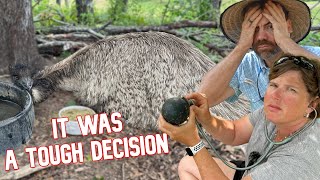 We Had To Make a Tough Call With Our Emu & The Eggs