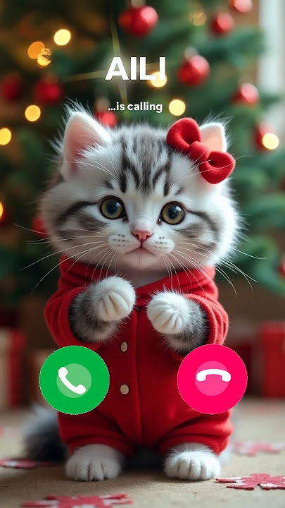 Aili Cat Calling π #ringtone #cat #youtubeshorts #gato #catlover #mi #sound #ringtones #shorts