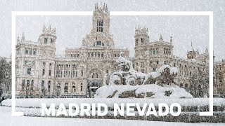 MADRID UNDER THE SNOW: the biggest in half a century (4) | enriquealex