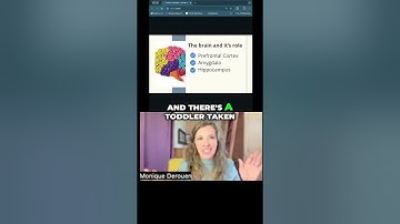 Unlocking the Power of the Prefrontal Cortex: Enhancing Focus and Impulse Control