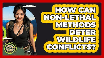 How Can Non-lethal Methods Deter Wildlife Conflicts? - The Wild Life Explorer