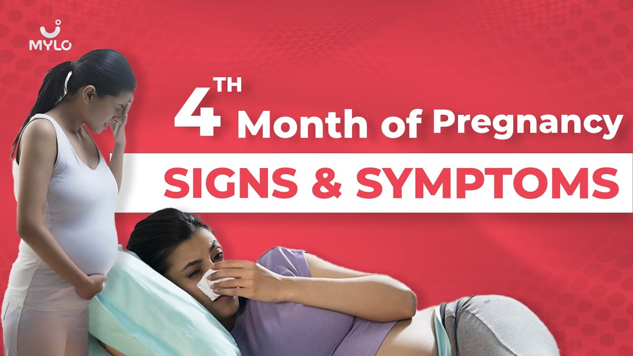 4 Month Pregnancy 4th Month Pregnancy Symptoms 4th Month Of 