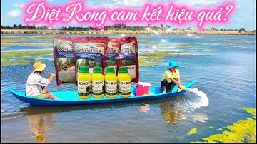 BÍ KIẾP DIỆT "RONG NHỚT, RONG MỀM"- TỰ TAN KHÔNG GÂY THỐI NƯỚC, ẢNH HƯỞNG TÔM- CUA, SÒ HUYẾT, ỐC GẠO