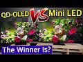 QD-OLED vs Mini LED - Don