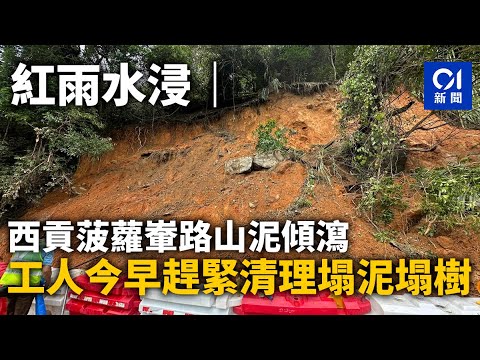 紅雨水浸｜西貢菠蘿輋路山泥傾瀉　工人今早趕緊清理塌泥塌樹｜01新聞｜西貢｜紅雨｜菠蘿輋｜山泥傾瀉｜沙田｜道風山