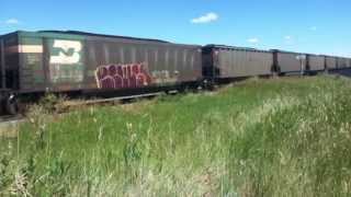 EXTREMELY RARE! 3 CN UNITS w/CP 897 @Lethbridge, AB