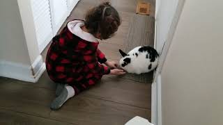 Zainan Is Feeding Bunny