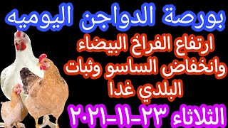أسعار الفراخ البيضاء اليوم الثلاثاء ٢٣-١١-٢٠٢١في مصر اليوم