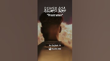 Surah As-Sajdah (Prostration) 14 | Urdu | Hindi Audio Translation |  سورة السجدة
