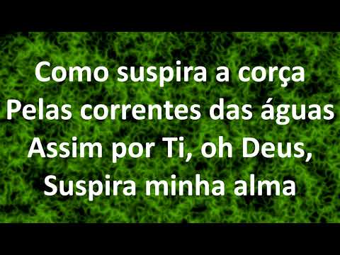 A corça é um animal que sente muita - CAMINHO ESTREITO