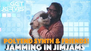 Jamming in Jimjams: DAWLess Jamming with Little Boxes #cat #synth #dawless