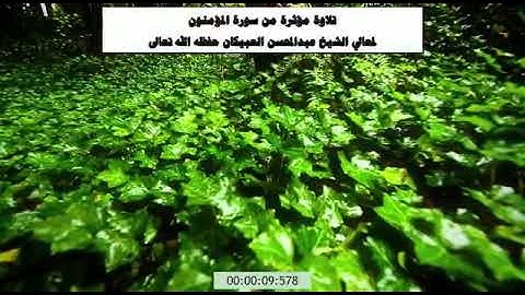 تلاوة مؤثرة من سورة المؤمنون - الشيخ عبدالمحسن العبيكان - حفظه الله
