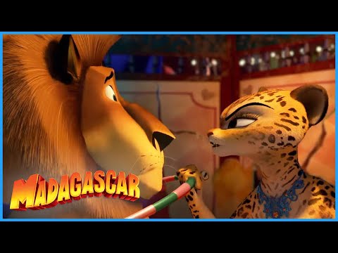 DreamWorks Madagascar | You're a Genius | Madagascar 3: Europe's Most Wanted | Kids Movies