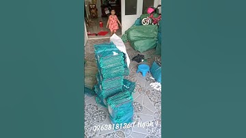 lú _ lợp _ nò _12 cửa ngục cũ mơi các loại .